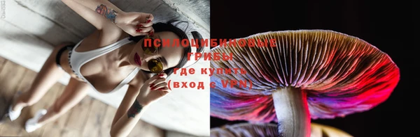тгк Абинск