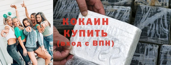 МДПВ Михайлов