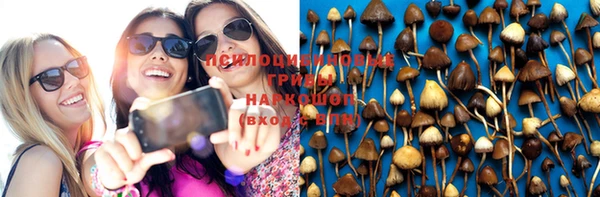 MDMA Михайловка
